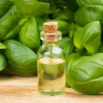 11 Increíbles Beneficios Del Aceite Esencial De Albahaca