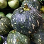 Cómo Cortar Y Cocinar Calabaza Ranúnculo