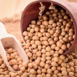 Soja: Beneficios Para La Salud, Nutrición Y Usos