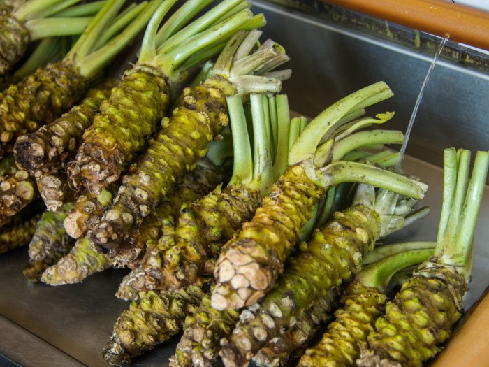 Cerca de raíces de mostaza cruda fresca en el mercado