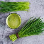 Jugo De Pasto De Trigo: Beneficios, Recetas Y Preguntas Frecuentes